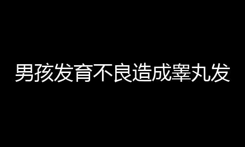 男孩发育不良造成睾丸发育不良的原因是什么