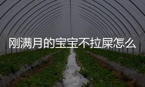 刚满月的宝宝不拉屎怎么办