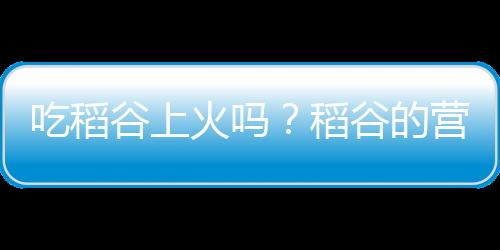 吃稻谷上火吗？稻谷的营养价值有哪些