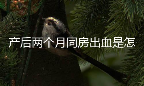 产后两个月同房出血是怎么回事