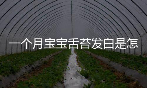 一个月宝宝舌苔发白是怎么回事