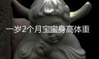 一岁2个月宝宝身高体重是多少