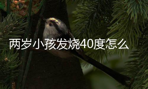 两岁小孩发烧40度怎么办好啊？