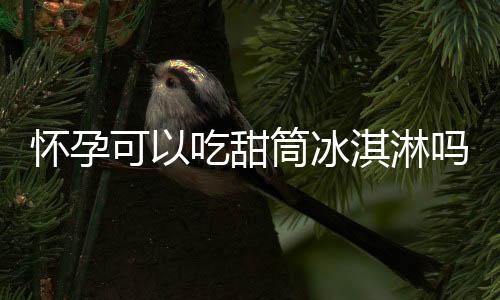 怀孕可以吃甜筒冰淇淋吗？怀孕吃什么比较好