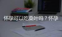 怀孕可以吃桑叶吗？怀孕吃什么比较好