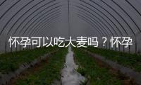 怀孕可以吃大麦吗？怀孕吃什么比较好