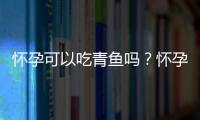 怀孕可以吃青鱼吗？怀孕吃什么比较好