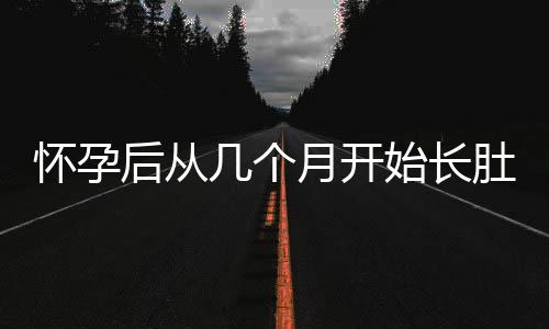 怀孕后从几个月开始长肚子