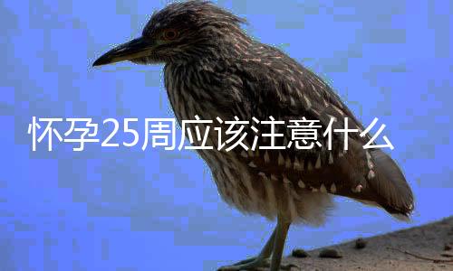 怀孕25周应该注意什么啊？