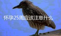 怀孕25周应该注意什么啊？