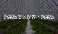 新菜板怎么保养？新菜板防裂方法