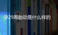 孕29周胎动是什么样的