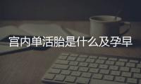 宫内单活胎是什么及孕早期胎儿的情况