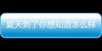 夏天到了你想知道怎么样去火吗