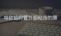 导致输卵管外部粘连的原因有哪些