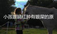 小孩眼睛红肿有眼屎的原因