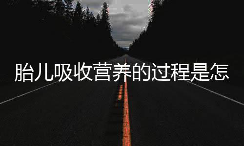 胎儿吸收营养的过程是怎样的？