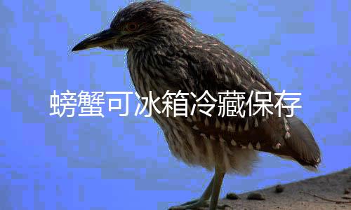 螃蟹可冰箱冷藏保存