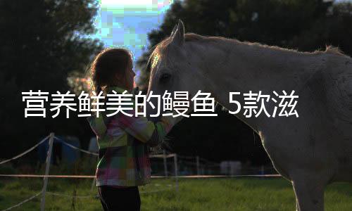 营养鲜美的鳗鱼 5款滋补强身的鳗鱼食疗方